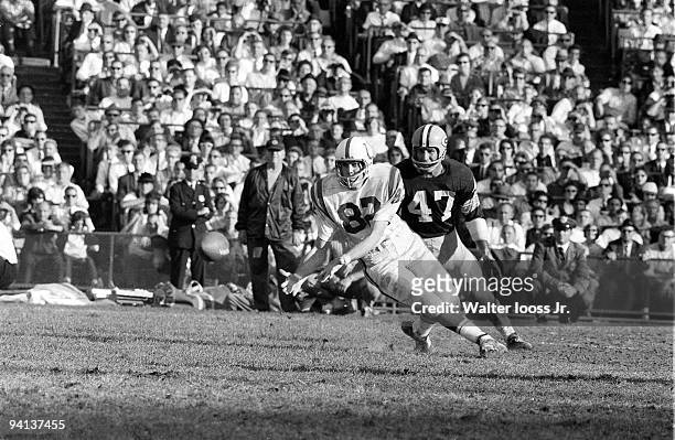 Baltimore Colts Raymond Berry in action, making catch vs Green Bay Packers. Baltimore, MD CREDIT: Walter Iooss Jr.