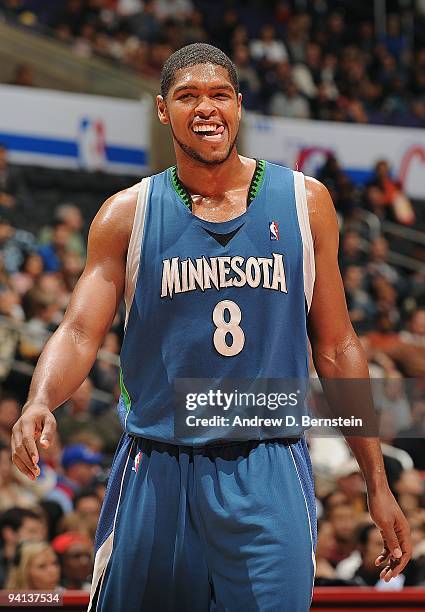 Ryan Gomes of the Minnesota Timberwolves cracks a smile during the game against the Los Angeles Clippers at Staples Center on November 23, 2009 in...