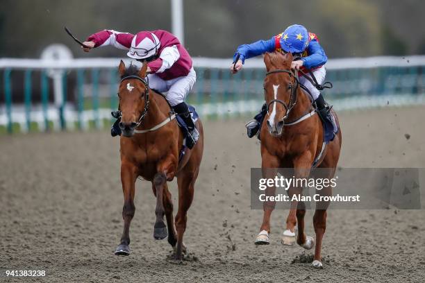 Charles Bishop riding Jungle Inthebungle win The US Masters 6 Places At 188Bet Novice Median Auction Stakes at Lingfield Park racecourse on April 3,...