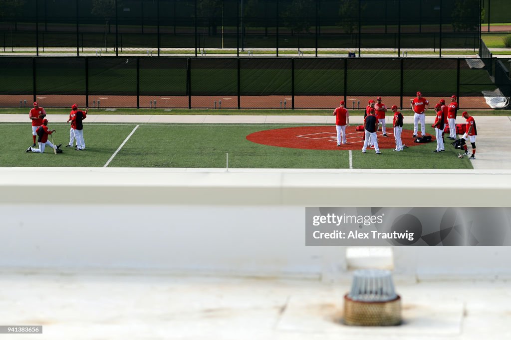 Washington Nationals Workout