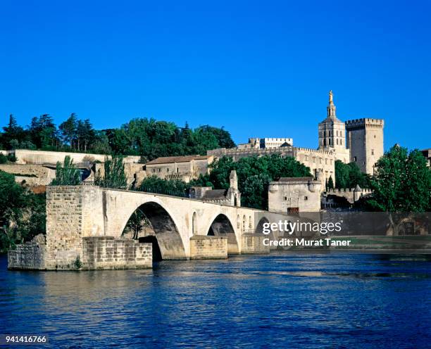 pont d'avignon bridge and popes palace - river rhone stock pictures, royalty-free photos & images