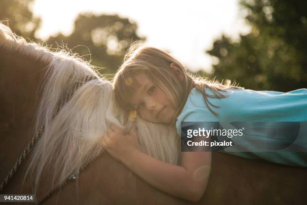 boho girl with her horse - haflinger horse stock pictures, royalty-free photos & images
