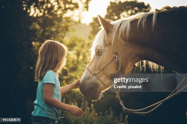 boho meisje met haar paard - pony paard stockfoto's en -beelden