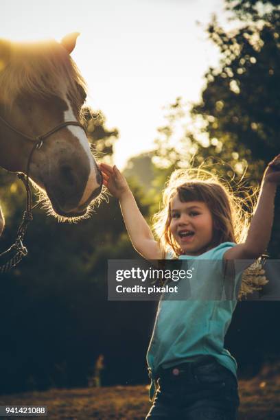 boho girl with her horse - haflinger horse stock pictures, royalty-free photos & images