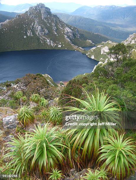 pandani over lake oberon, tasmania, australia - southwest national park stock pictures, royalty-free photos & images