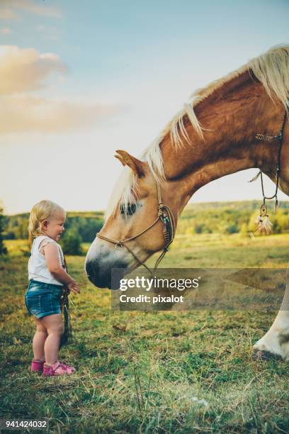 horse and baby best friends - pixalot stock pictures, royalty-free photos & images