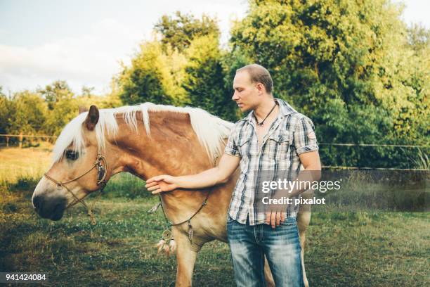 man and horse - pixalot stock pictures, royalty-free photos & images