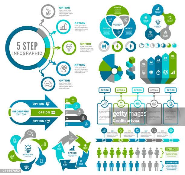 Development Infograph Stages Of Development Infographic Stockfoto's en -beelden - Getty Images