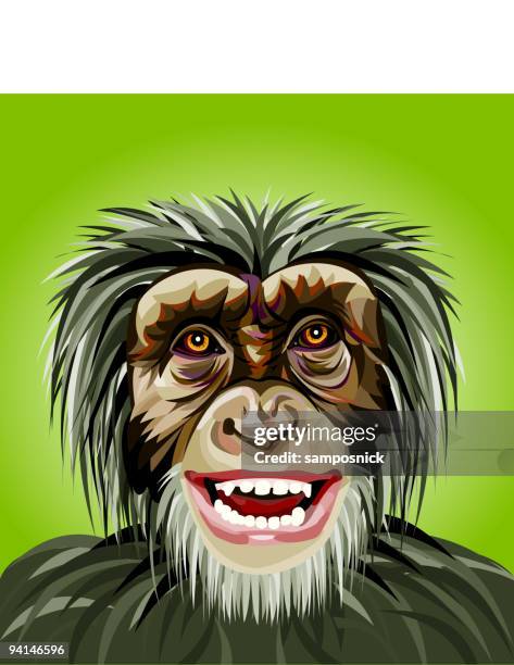 stockillustraties, clipart, cartoons en iconen met smilin' and thinkin' - chimpanzee teeth