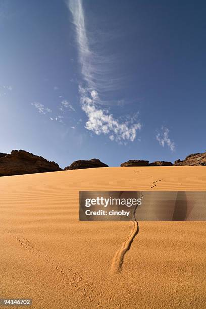 ausweichen linien - ubari wüste stock-fotos und bilder