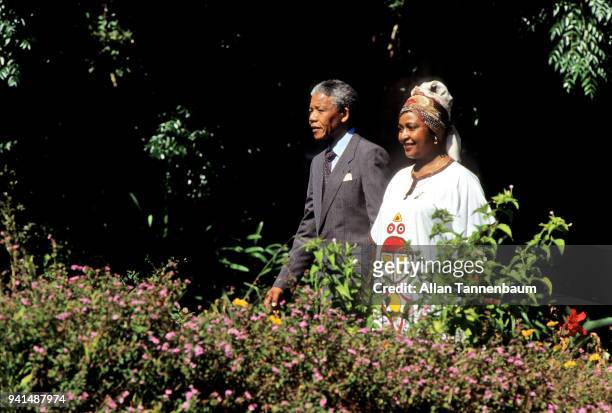 Married South African anti-apartheid activists Nelson Mandela and Winnie Mandela walk together in a garden, Cape Town, South Africa, February 12,...