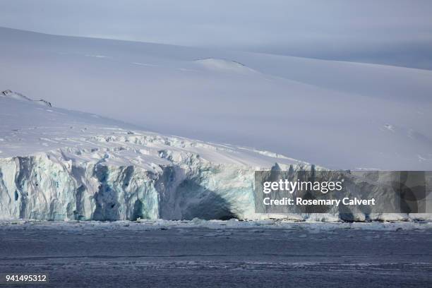 glacier meets the sea, antarctic sound, antarctica. - antarctic sound stock pictures, royalty-free photos & images