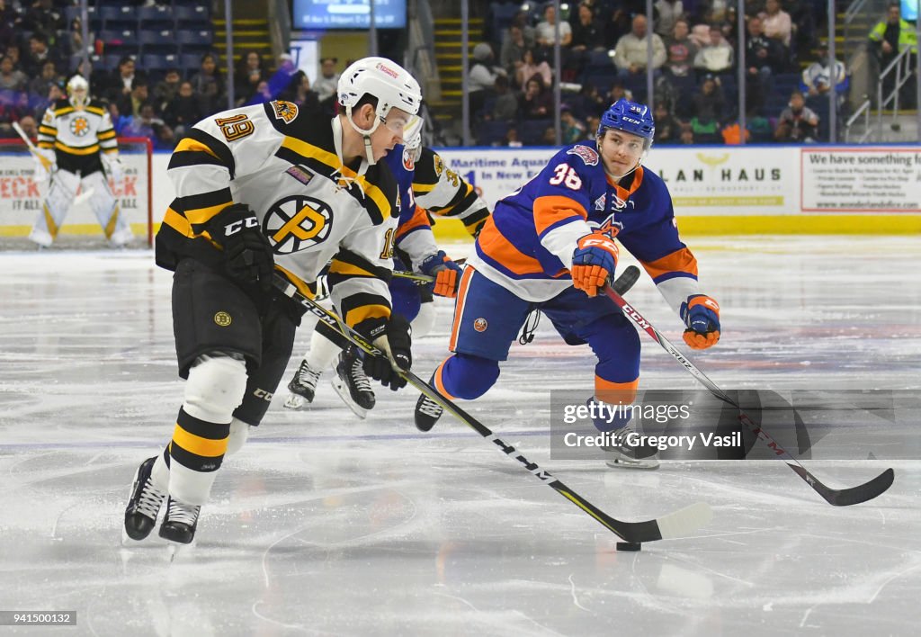 Providence Bruins v Bridgeport Sound Tigers