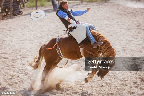 bucking bronco cowboy rodeo action - bucking stock pictures, royalty-free photos & images