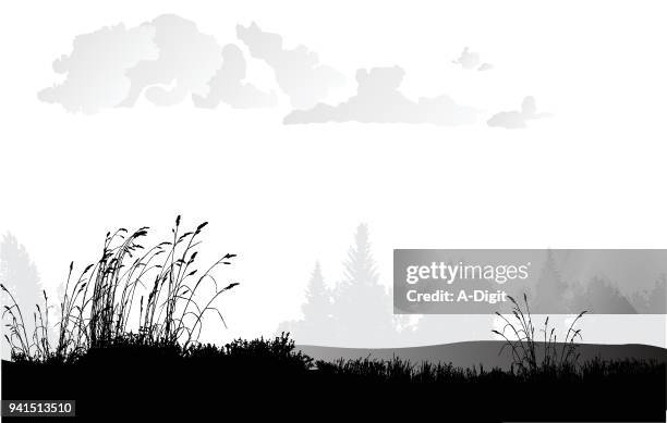 wheat grass plains - simple tree line vector stock illustrations