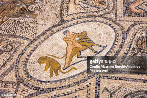 labours of hercules mosaic, one of the labours - moulay idriss morocco photos et images de collection
