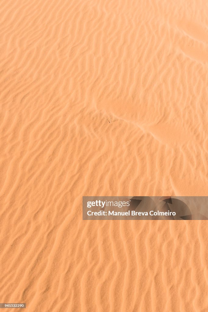 Sand texture