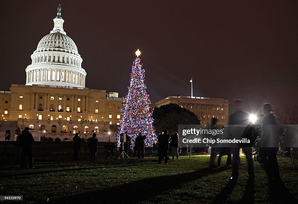 Nancy Pelosi Lights U.S. Capitol Christmas Tree