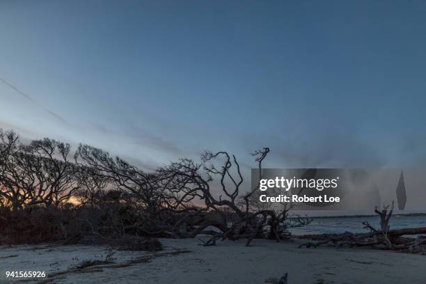 jekyll island sundown - jekyll island stockfoto's en -beelden