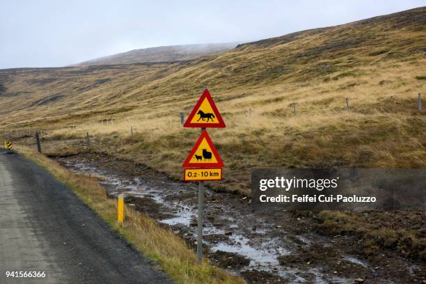 animal crossing sign at hvammstangi, northwest iceland - icelandic sheep stock pictures, royalty-free photos & images