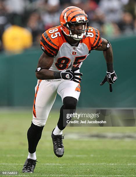 Chad Ochocinco of the Cincinnati Bengals in action against the Oakland Raiders during an NFL game at Oakland-Alameda County Coliseum on November 22,...
