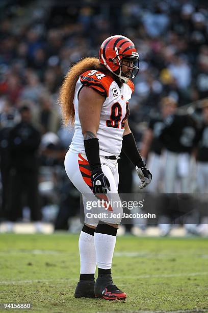 Domata Peko of the Cincinnati Bengals looks on against the Oakland Raiders during an NFL game at Oakland-Alameda County Coliseum on November 22, 2009...