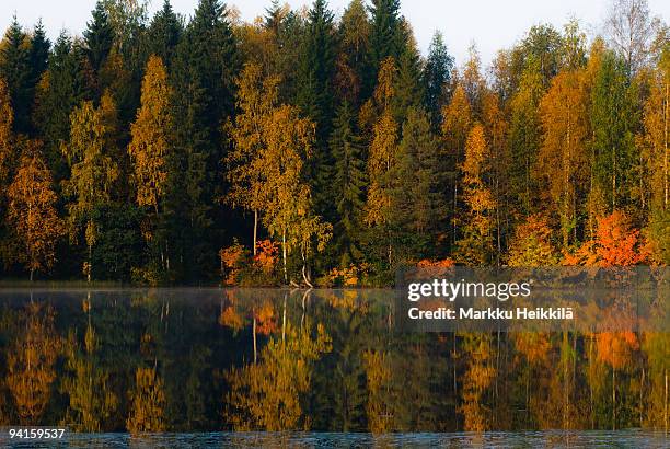 autumn colours - autumn finland stock pictures, royalty-free photos & images