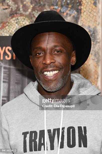 Michael Kenneth Williams attends the "Vice" Season 6 Premiere at the Whitby Hotel on April 3, 2018 in New York City.