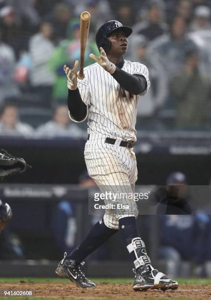 Didi Gregorius of the New York Yankees reacts after he hit a three run home run in the seventh inning against the Tampa Bay Rays during Opening Day...