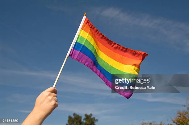 rainbow pride flag from national equality march - pride flag stock pictures, royalty-free photos & images