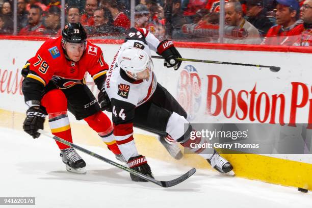 Micheal Ferland of the Calgary Flames and Kevin Connauton of the Arizona Coyotes battle for the puck in an NHL game on April 3, 2018 at the...