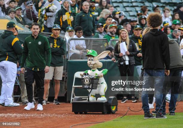 Harvey The Rabbit Harvey The Rabbit Photos and Premium High Res Pictures - Getty Images