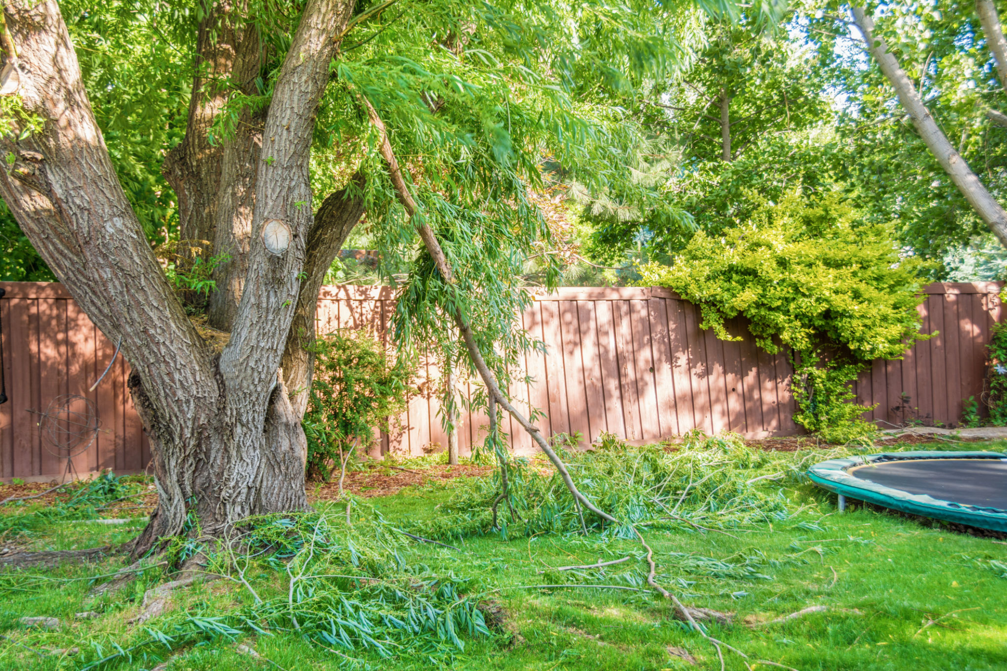 storm cleanup