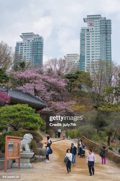 springtime in seoul - kangnamgu stock pictures, royalty-free photos & images