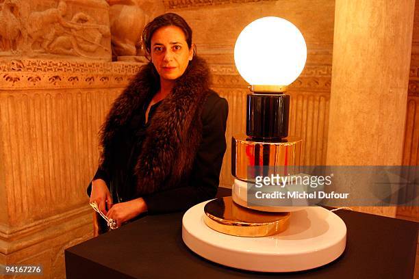 India Mahdavi attends the Designers Christmas Trees Charity Auction For Carla Bruni Foundation on December 8, 2009 in Paris, France.