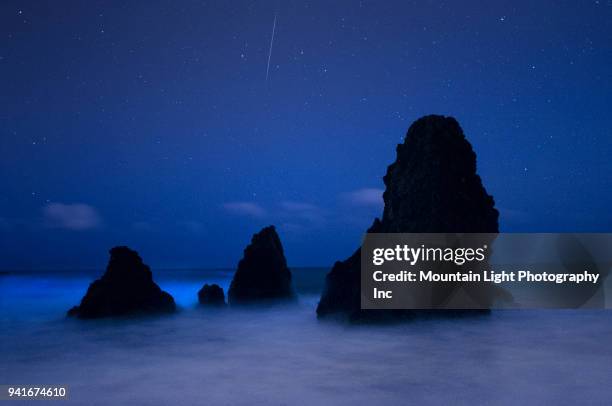 bioluminescence and meteor at rodeo beach - dinoflagellate stock pictures, royalty-free photos & images