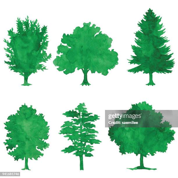 水彩綠樹 - coniferous tree 幅插畫檔、美工圖案、卡通及圖標