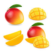 Mango realistic fruit whole and pieces illustration