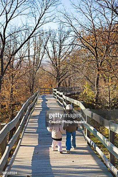 brother and sister on nature walk in the fall - iowa family stock pictures, royalty-free photos & images