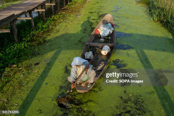 Kashmiri woman rows her boat early in the morning in world famous Dal lake in the summer capital of Indian administered Kashmir, India. Elusive...