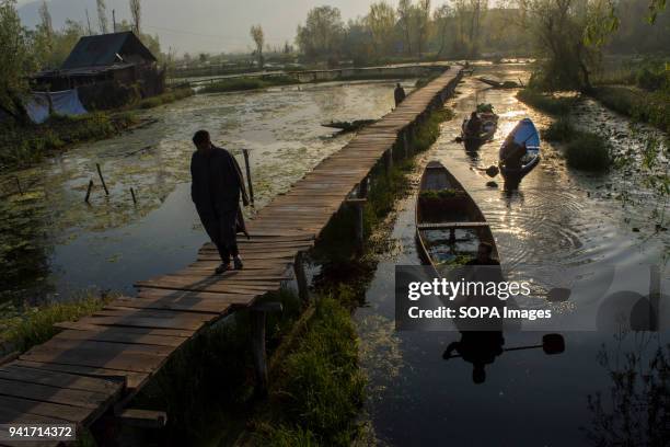 Kashmiri men gather with their boats laden with vegetables at the floating vegetable market on Dal Lake at dawn in Srinagar. Elusive boatmen in...