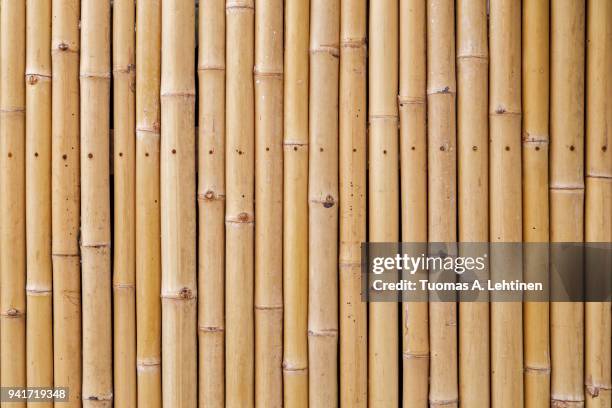 close-up of a natural bamboo wall background with warm tones - bamboo material stock pictures, royalty-free photos & images