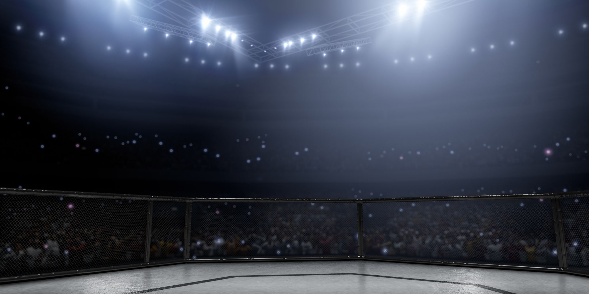 boxing crowd
