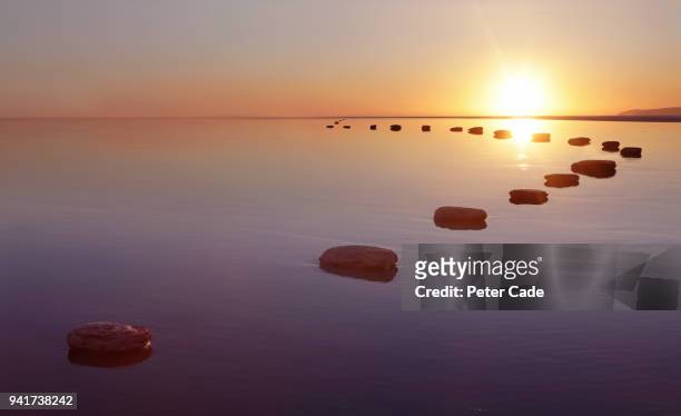 stepping stones over water - escena de tranquilidad fotografías e imágenes de stock