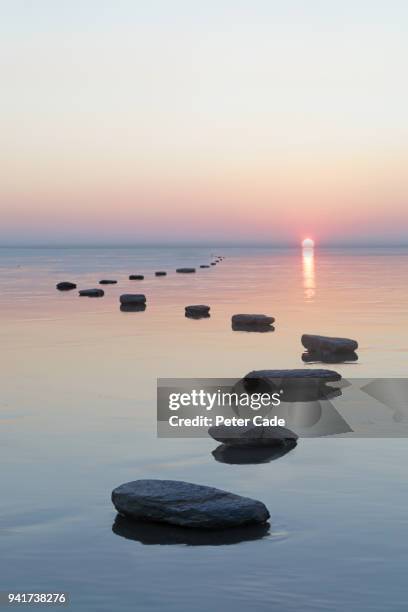 stepping stones over water - stepping stones stockfoto's en -beelden