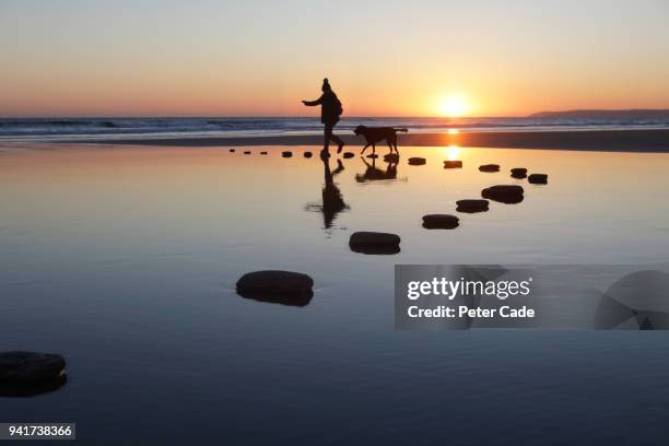 stepping stones over water, person and dog - stepping stone stock-fotos und bilder