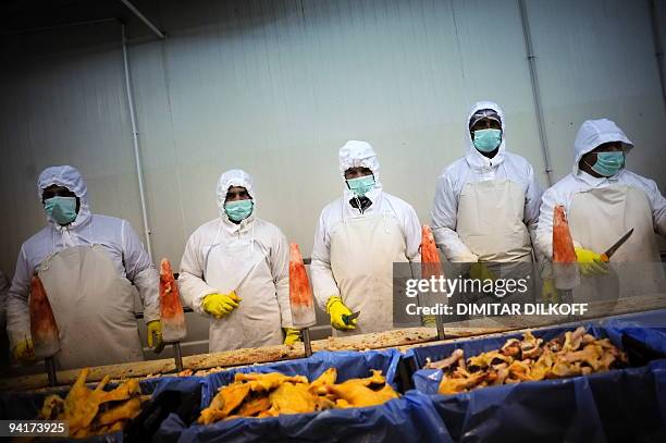 Afp Duck 412 Vessela Sergueva Stock Photos, High-Res Pictures, and Images ...