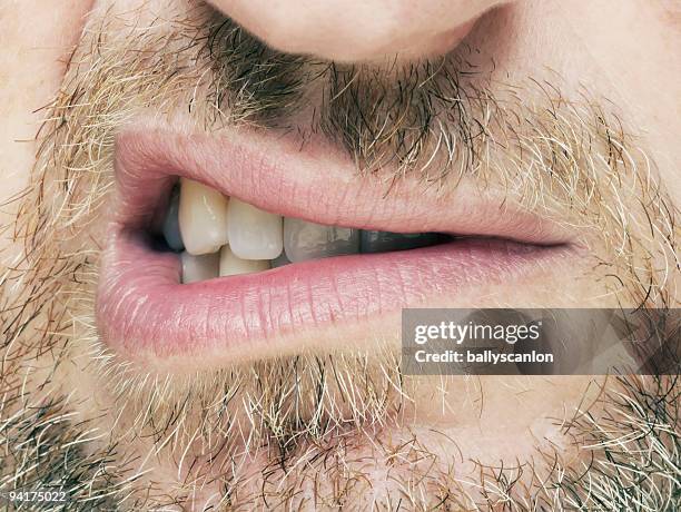 bearded man snarling. - snarling stock pictures, royalty-free photos & images