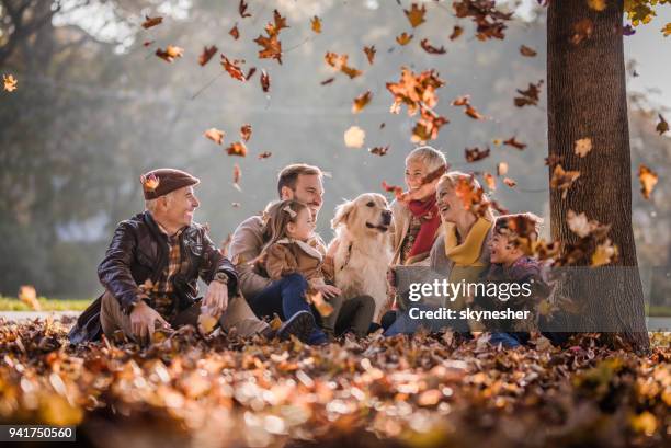 happy extended family and golden retriever among autumn leaves at the park. - autumn dog stock pictures, royalty-free photos & images