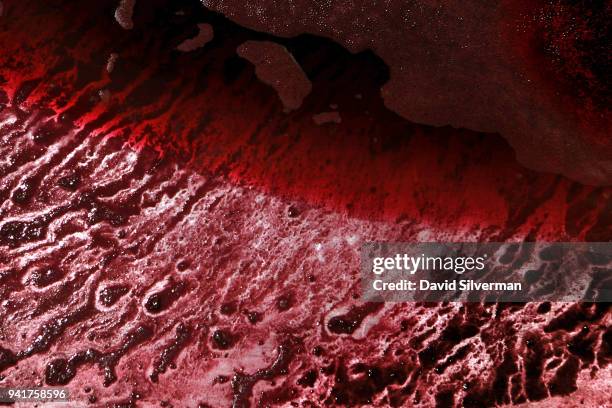 Young Tempranillo wine is drained without being crushed from a fermentation at Aalto winery on October 11, 2016 in Quintanilla de Arriba, Spain....